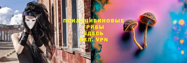apvp Алексин