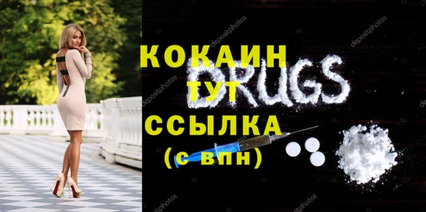 apvp Алексин