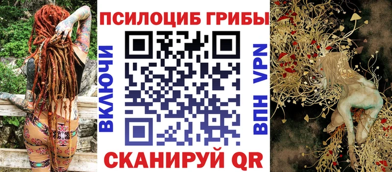 Галлюциногенные грибы Cubensis Навашино
